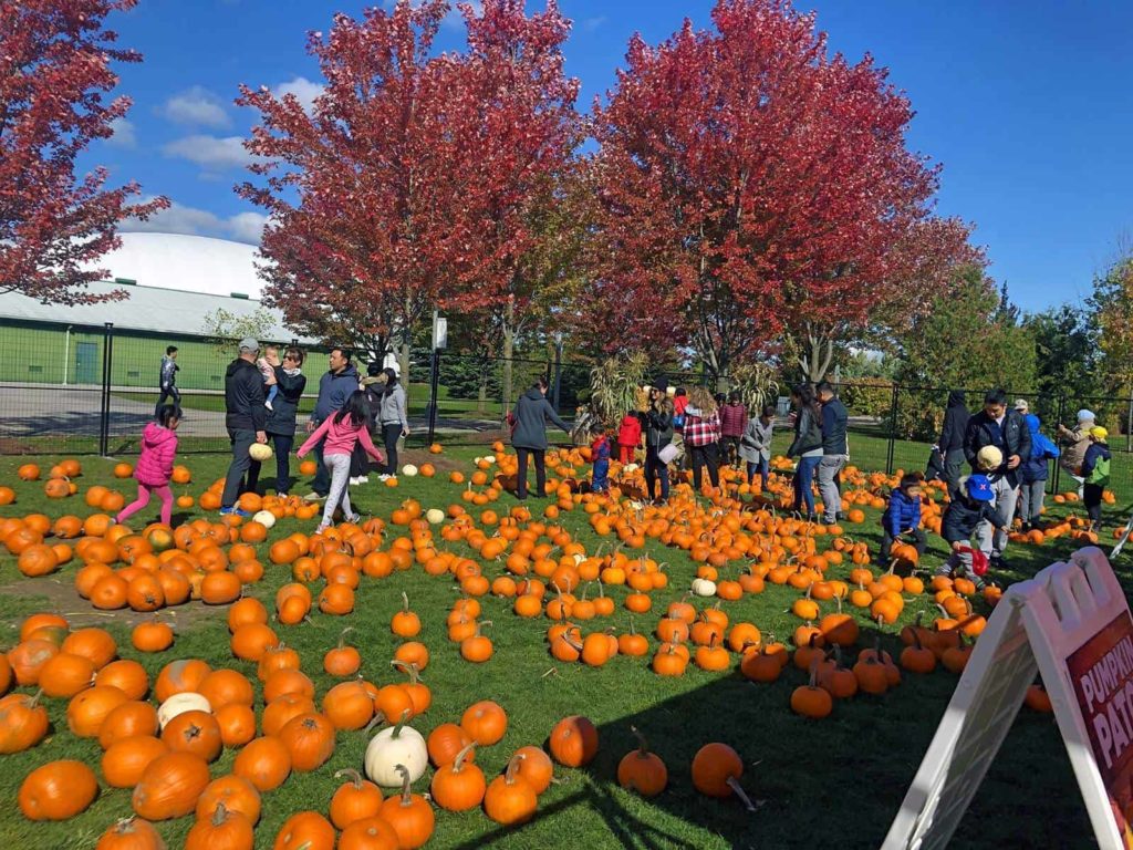 Join the annual Toronto Pumpkin Fest.