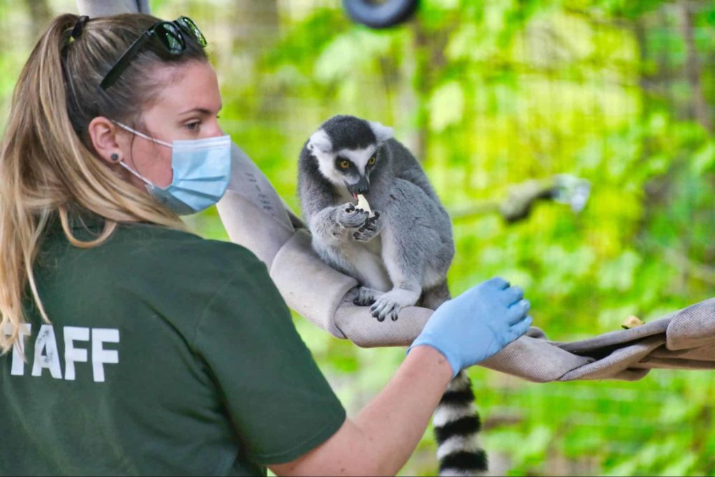 Stroll through Toronto Zoo.
