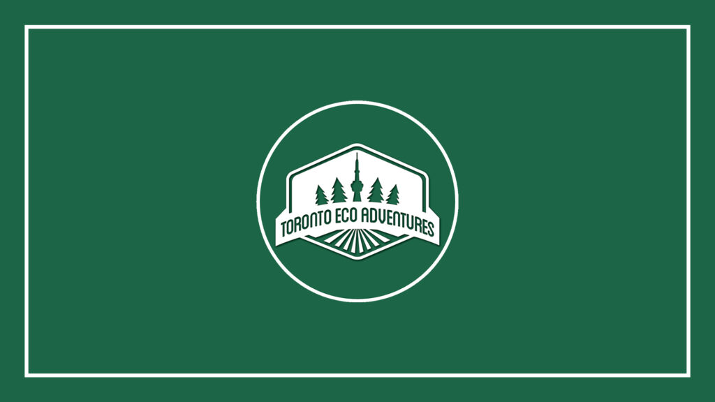 toronto-eco-adventures-logo