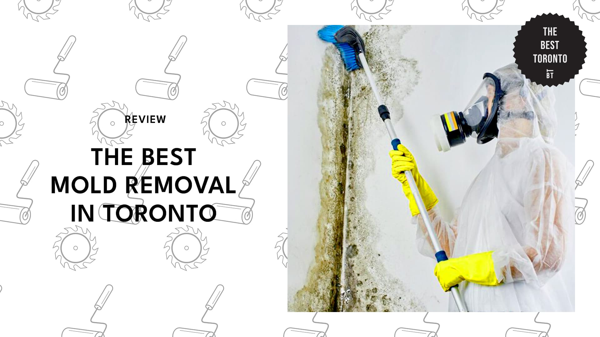11 BEST MOULD REMOVAL COMPANIES IN TORONTO