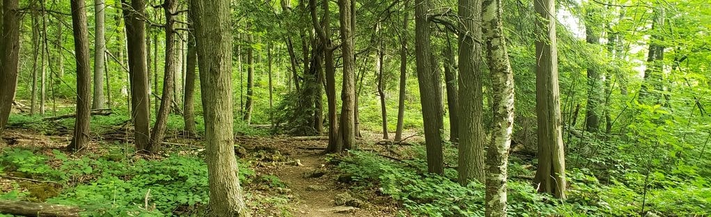 Bruce Trail