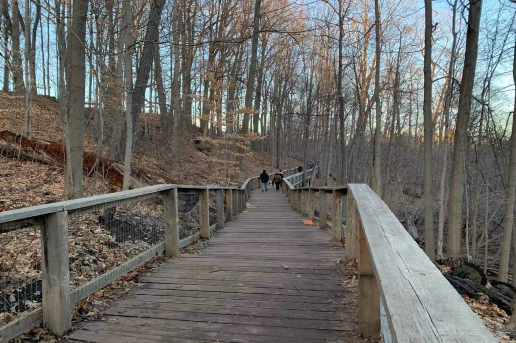 Burke Brook Ravine and Sherwood Park Trail