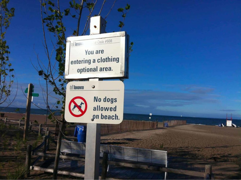 Hanlan’s Point Beach