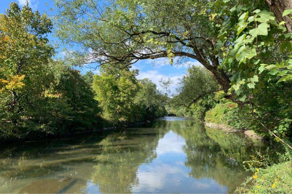 Lower Don River Trail