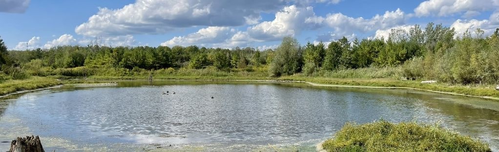 Orchard Trail