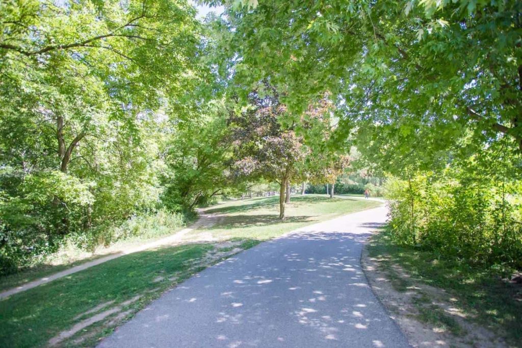 Taylor Creek Trail