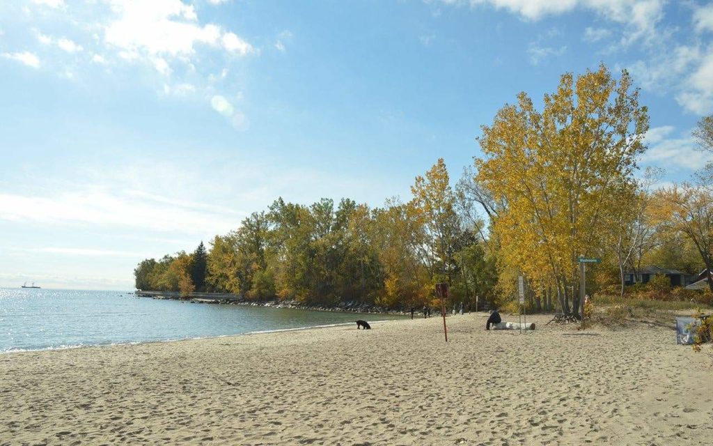 Ward’s Island Beach