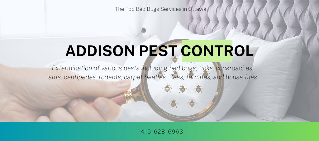 addison-pest-control