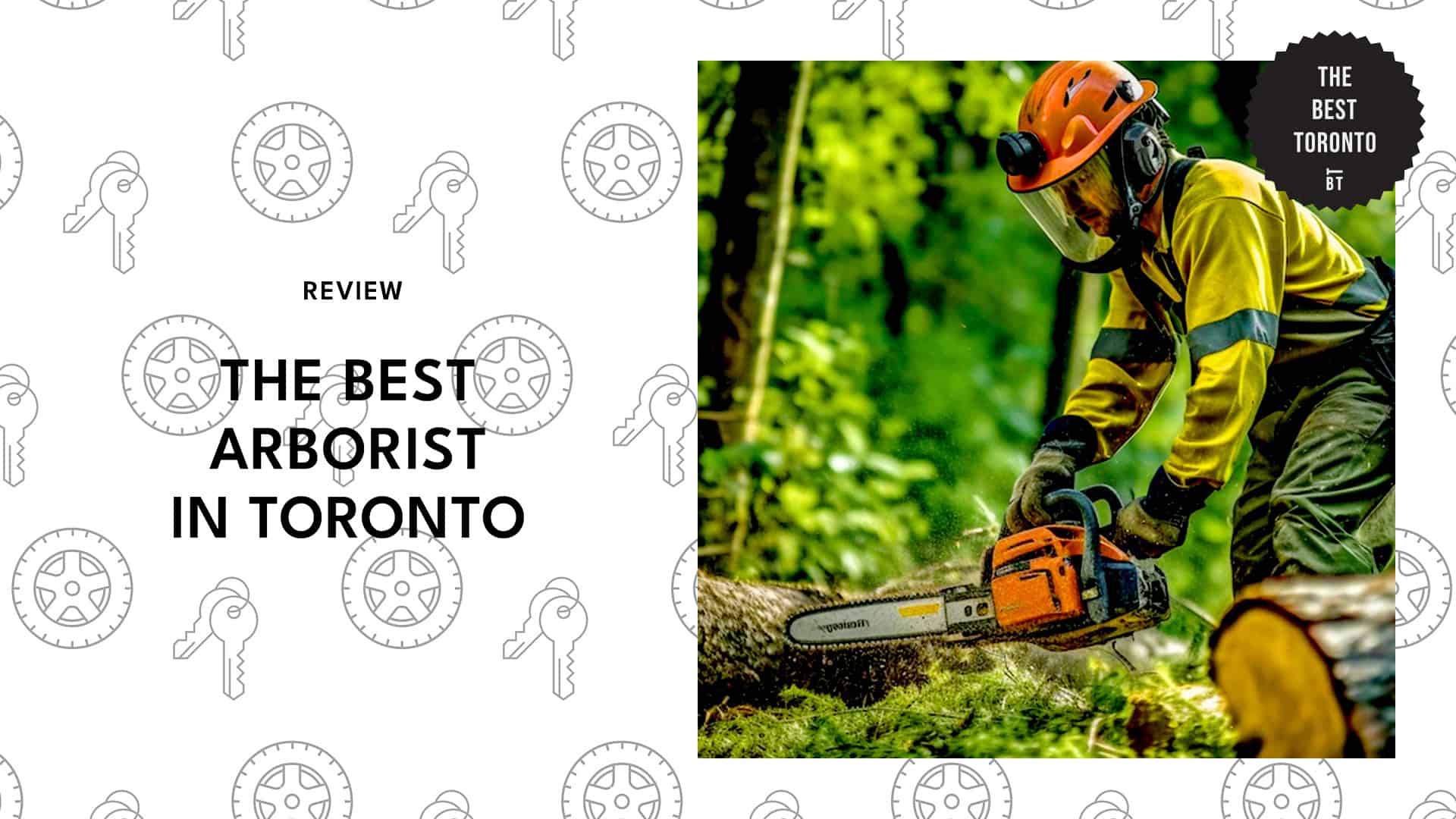 arborists-in-toronto