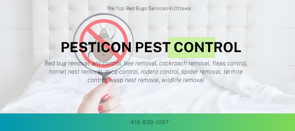 pesticon-pest-control