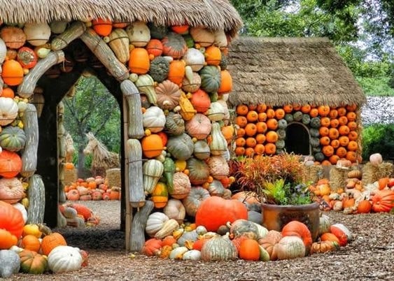Post a pic for the ‘gram at Pumpkinville