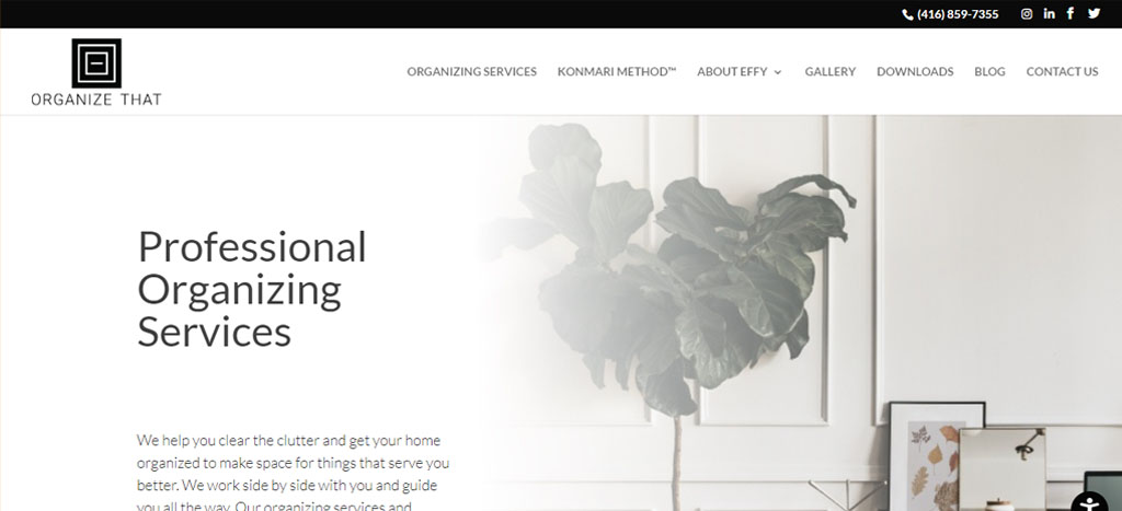 Organize That's Homepage