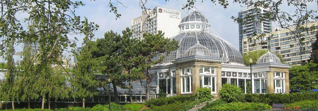 Appreciate the flora and fauna at Allan Gardens