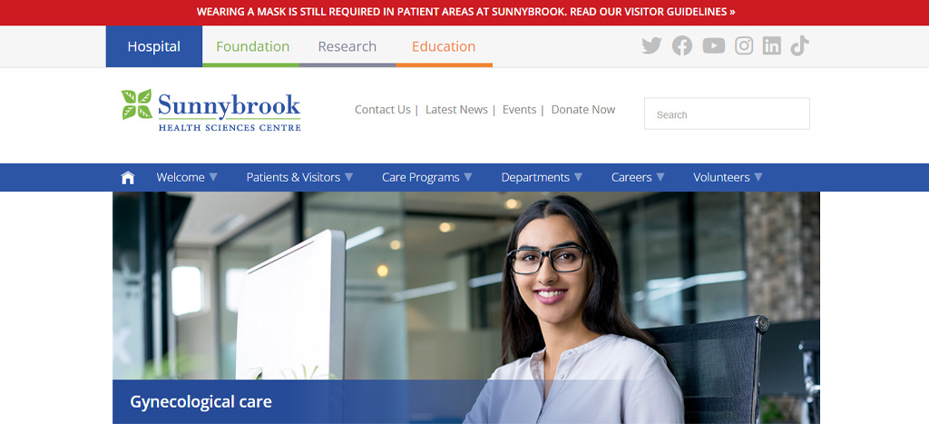 Dr. Elaine Herer's Homepage