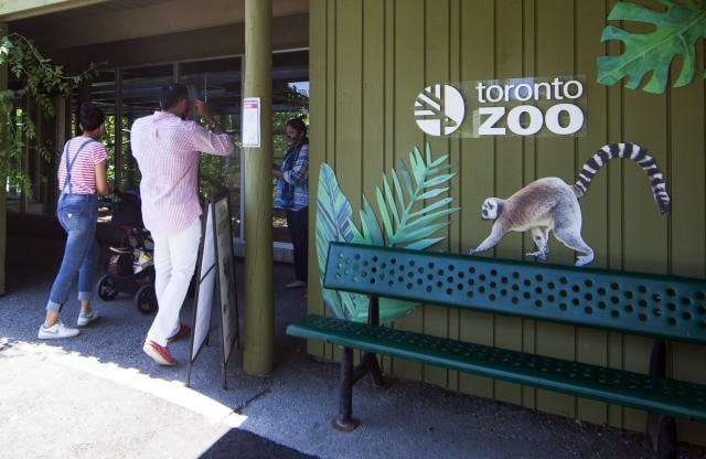 Get to know furry friends at Toronto Zoo
