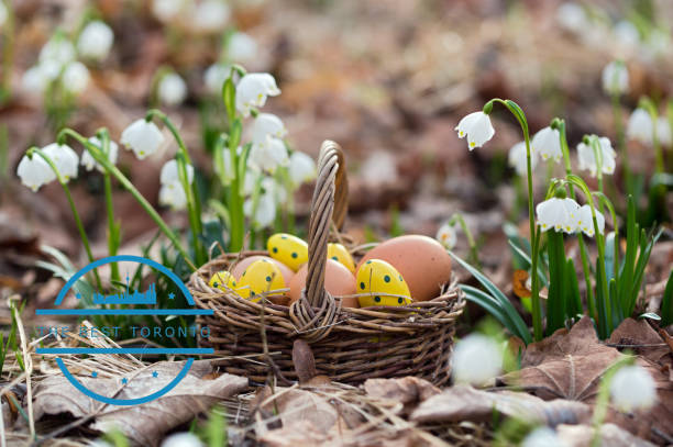 Looking for some fun this Easter? Here are activities you don’t want to miss!