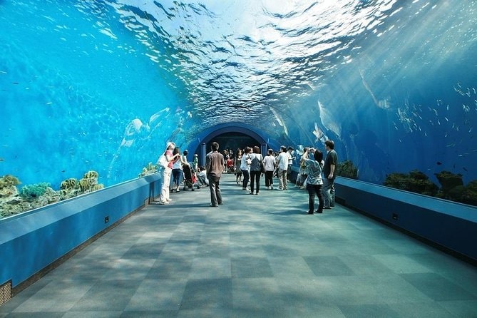 Ripley's Aquarium