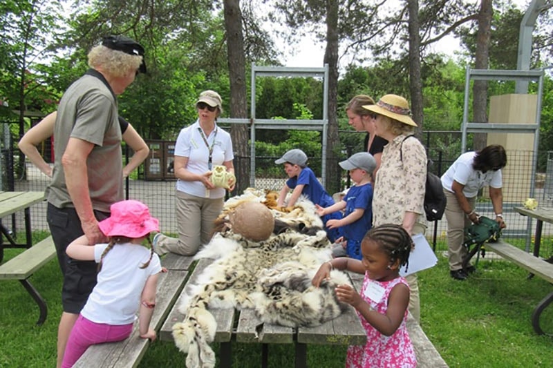 Shop at the Toronto Zoo Spring Marketplace