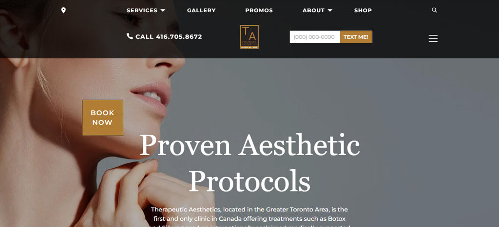Therapeutic Aesthetics of Toronto's Homepage