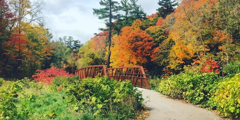 Visit Edwards Gardens