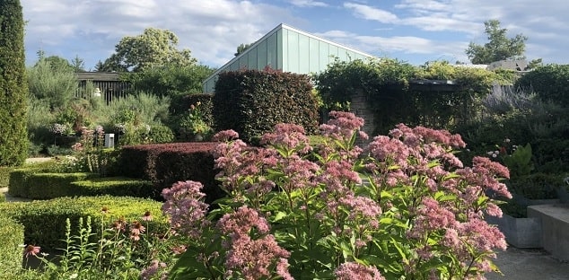 Visit the Toronto Botanical Garden