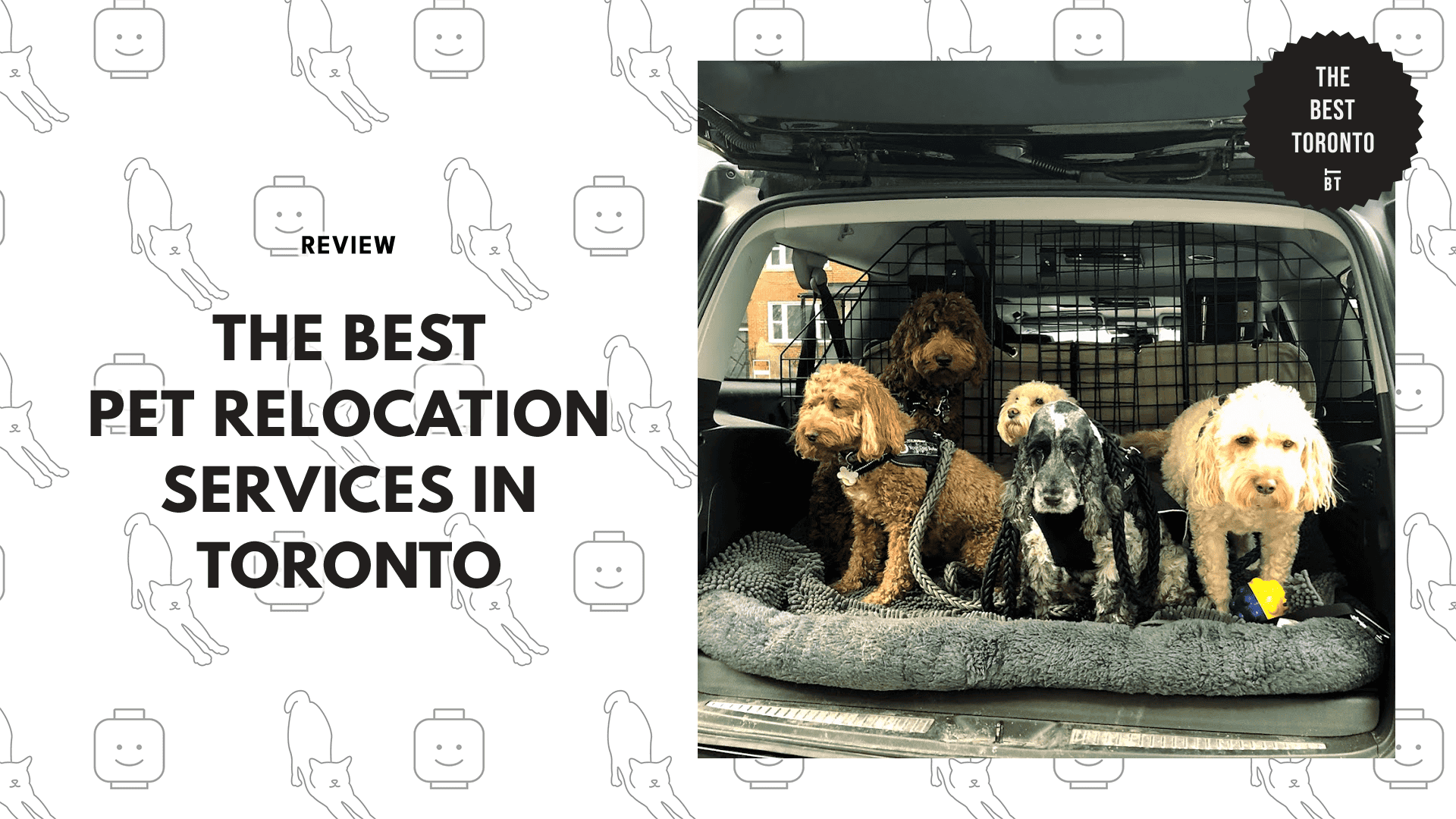 pet-relocation-services-in-toronto