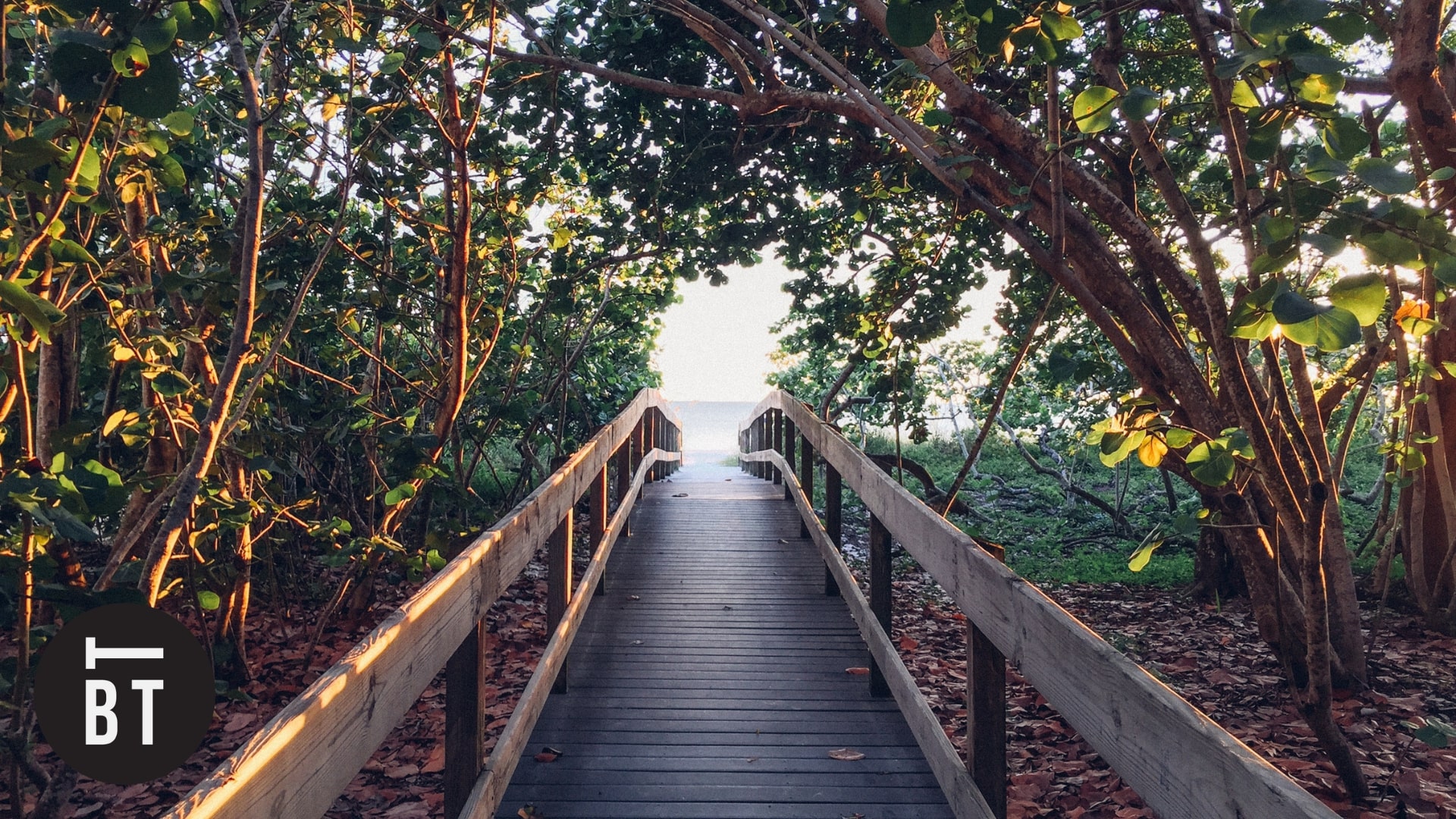 Boardwalk Trails to Visit When You’re in Toronto