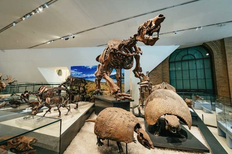 Royal Ontario Museum Tour