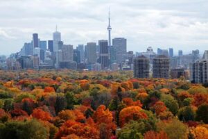 Beautiful Changing Seasons