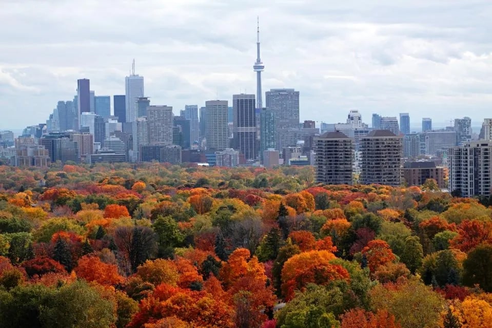 Beautiful Changing Seasons