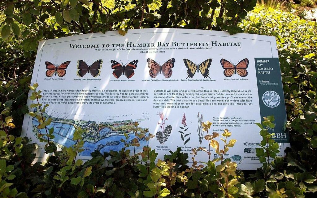 Bond with butterflies at Humber Bay Butterfly Habitat
