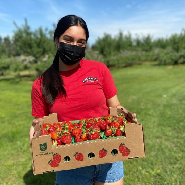 Brantwood Farms