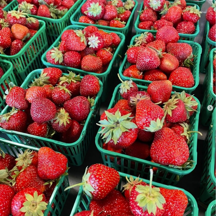 Brooks Farms