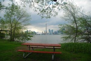 Enjoy a picnic with a view