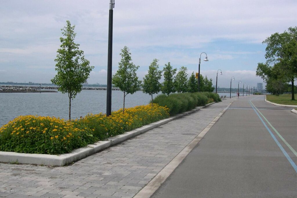 Enjoy the views of the lake at the Martin Goodman Trail