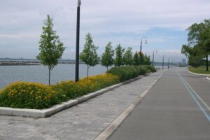 Enjoy the views of the lake at the Martin Goodman Trail
