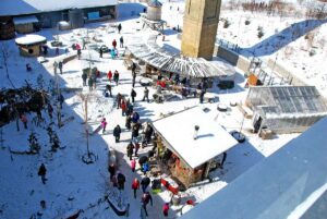 Explore Toronto’s wilderness at Don Valley Brick Works