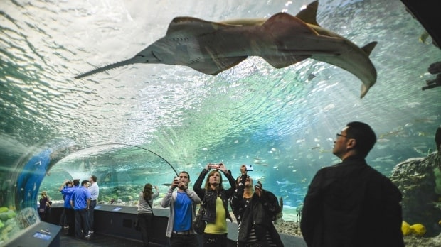 Family-friendly Attractions