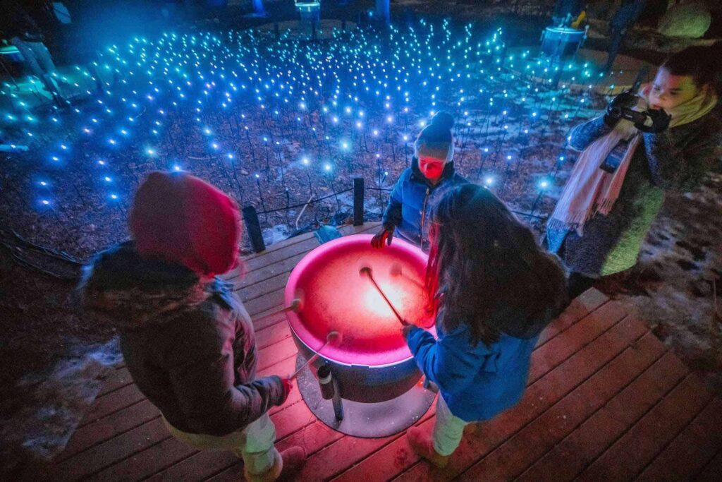 Gaze at the stars in Terra Lumina