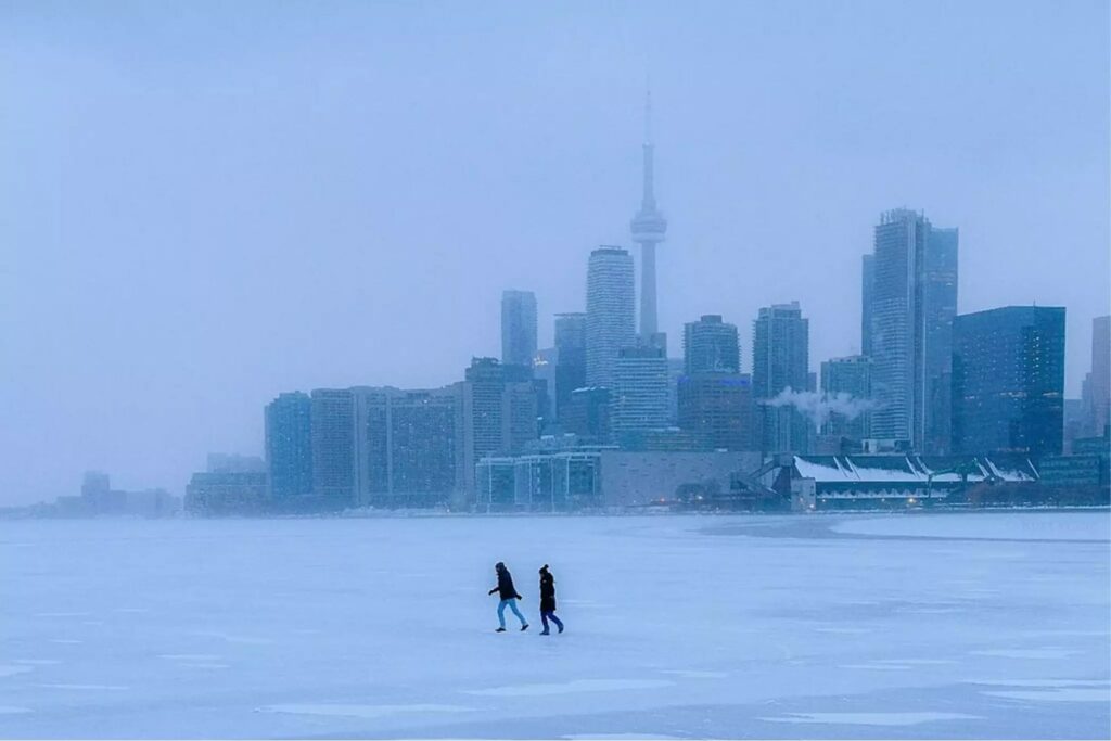 Go on a fun walk around Harbourfront Centre