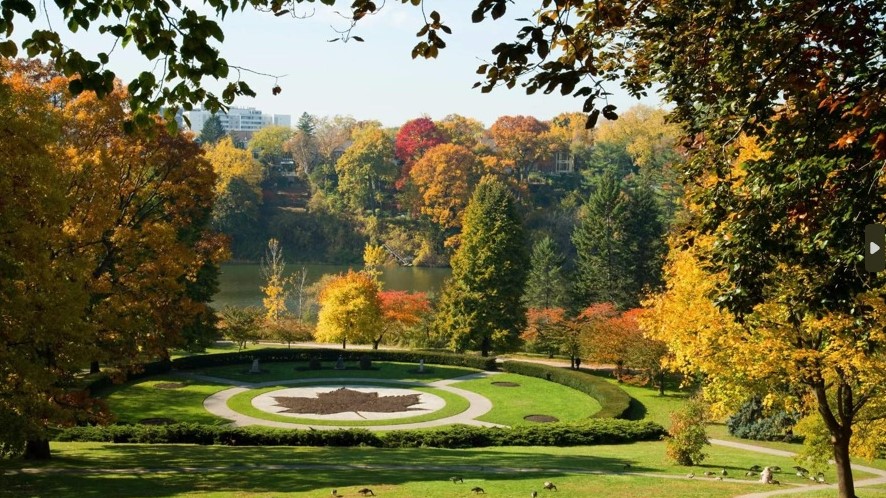 Hang out at High Park