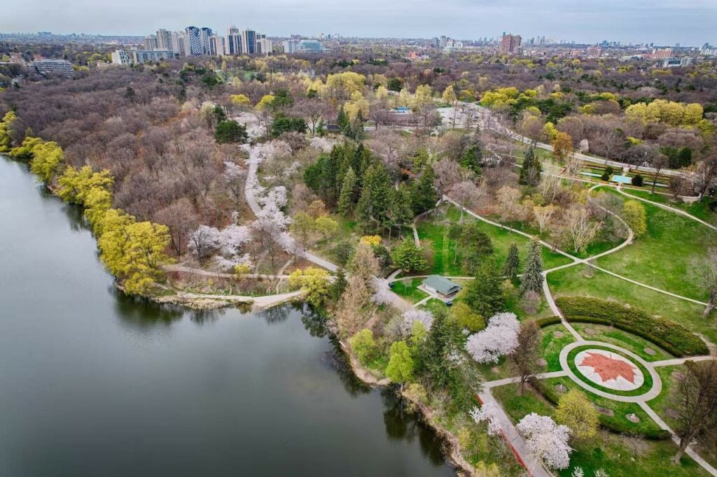 Have a relaxing stroll at High Park