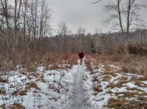 Hike at Rouge Park