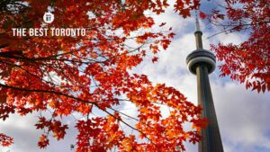 Ideas For a Fun Autumn in Toronto
