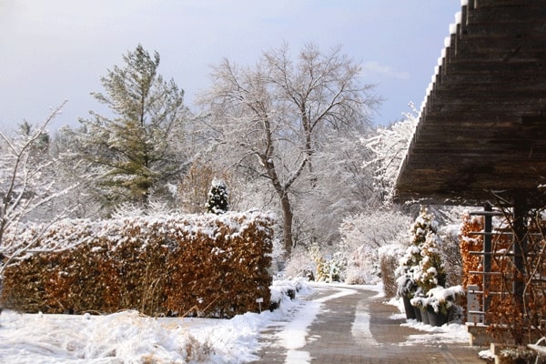 Indulge your green thumb at Toronto Botanical Garden