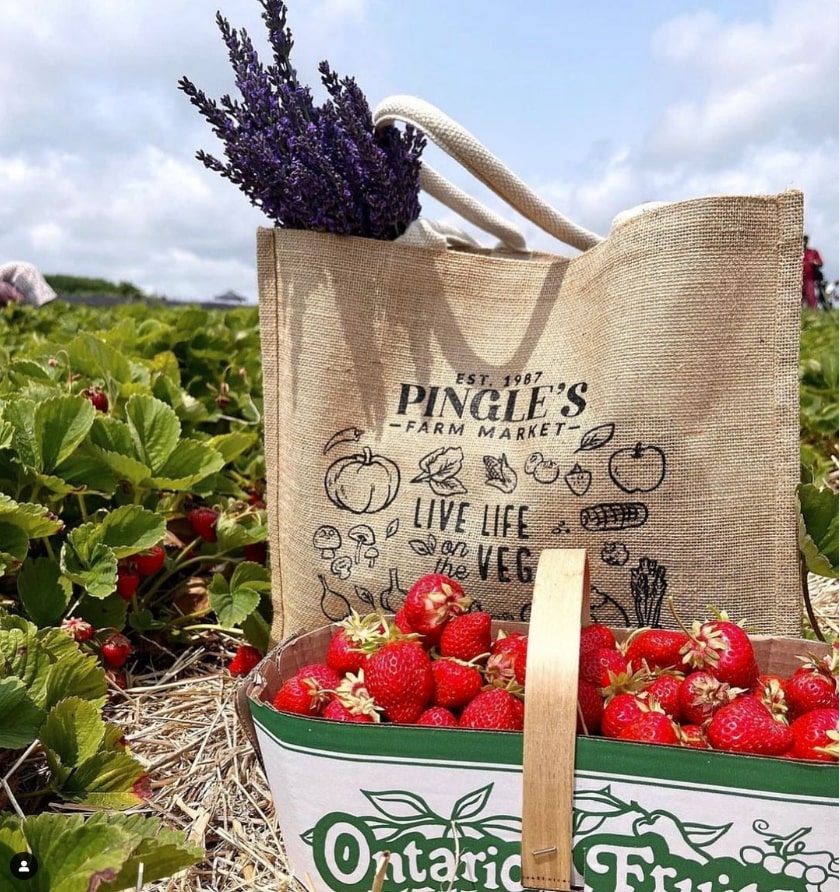Pingle’s Farm Market