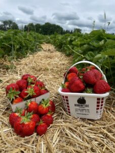 Robintide Farms