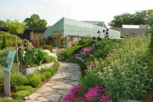 Spam your Instagram stories with flowers at Toronto Botanical Garden