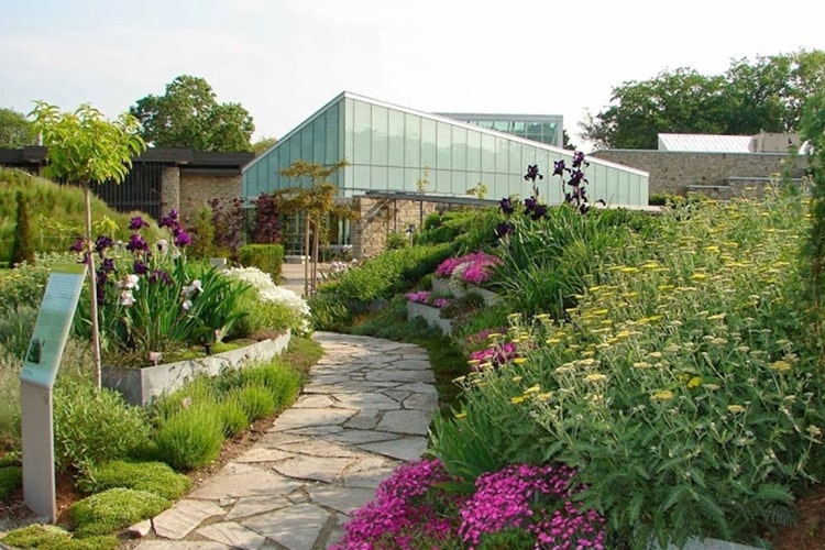 Spam your Instagram stories with flowers at Toronto Botanical Garden