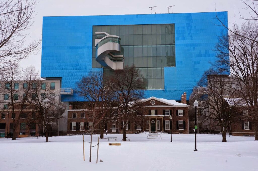 Spend your Wednesday at the Art Gallery of Ontario